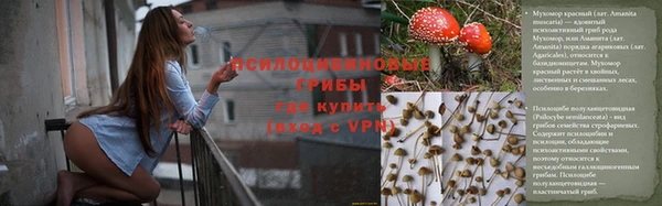 ГАЛЛЮЦИНОГЕННЫЕ ГРИБЫ Абаза