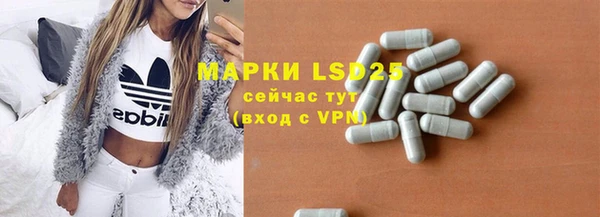 ГАЛЛЮЦИНОГЕННЫЕ ГРИБЫ Абаза
