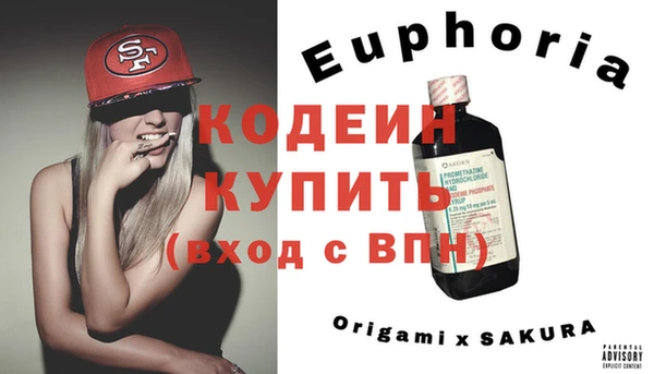 ГАЛЛЮЦИНОГЕННЫЕ ГРИБЫ Абаза