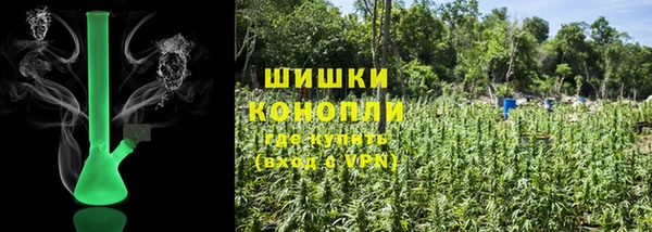 ГАЛЛЮЦИНОГЕННЫЕ ГРИБЫ Абаза