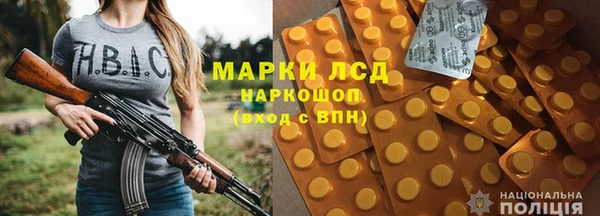 ГАЛЛЮЦИНОГЕННЫЕ ГРИБЫ Абаза