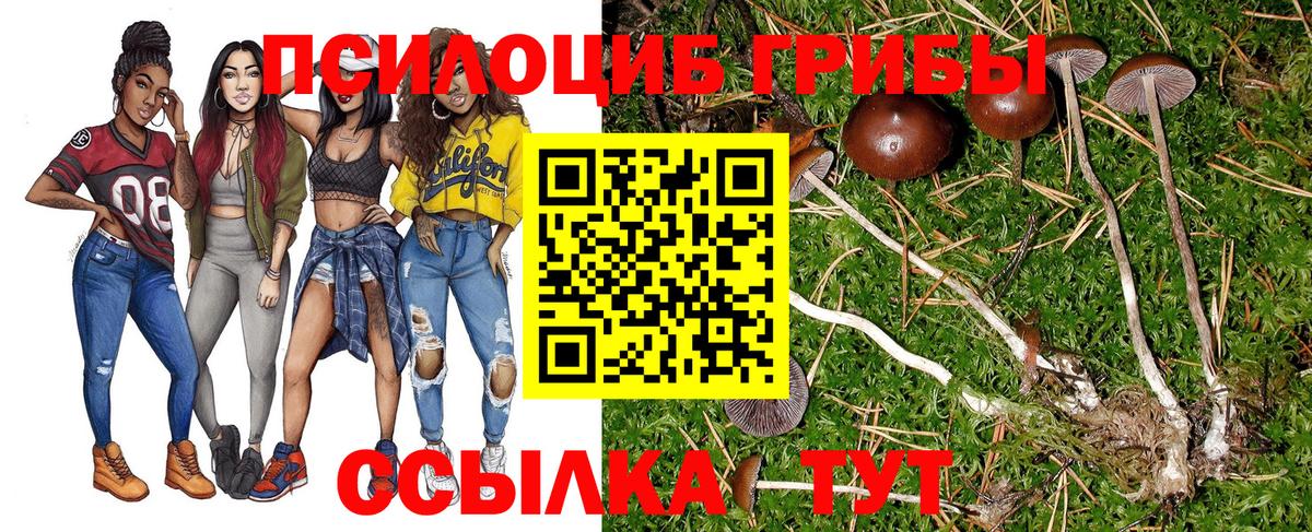 Псилоцибиновые грибы мицелий Одинцово