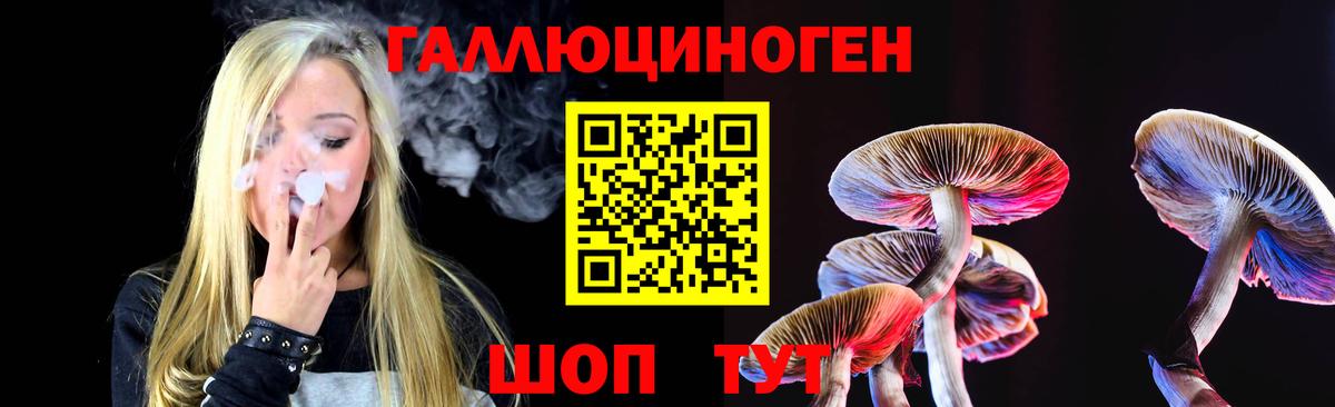 Псилоцибиновые грибы мицелий  Вход с VPN  Одинцово  Галлюциногенные грибы Psilocybe 
